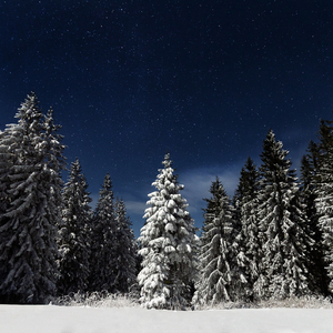 美女的胸❌又黄❌又大精灵
